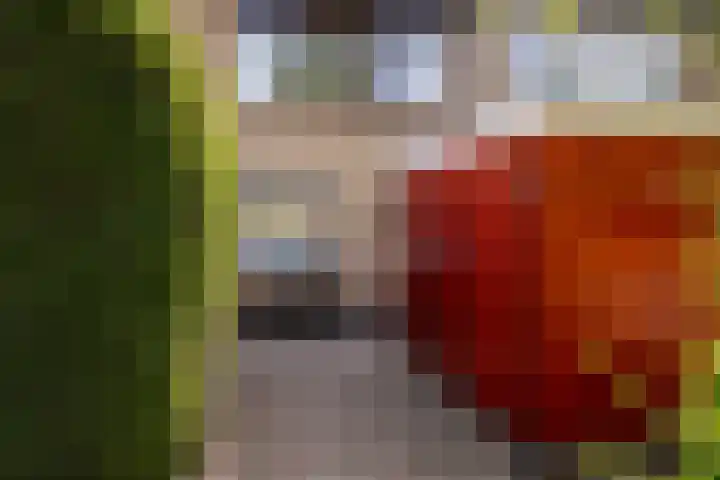 Populierendreef 89 Vlaardingen thumbnail 33