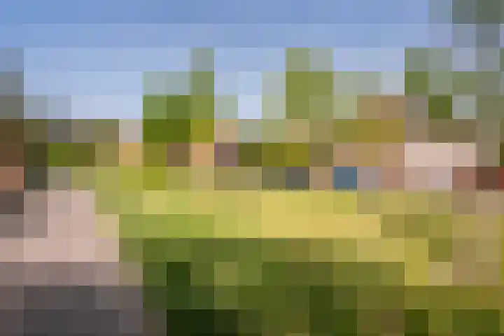 Populierendreef 89 Vlaardingen thumbnail 35