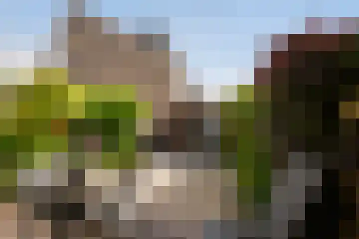 Populierendreef 89 Vlaardingen thumbnail 4