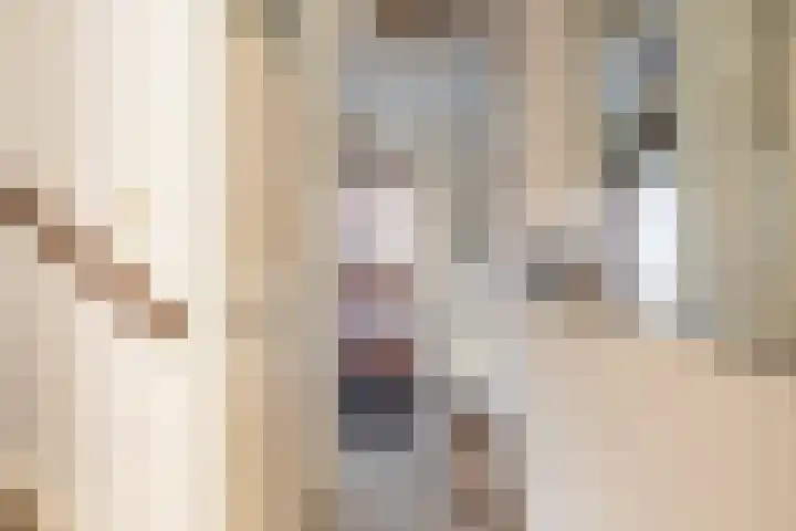 Populierendreef 89 Vlaardingen thumbnail 5
