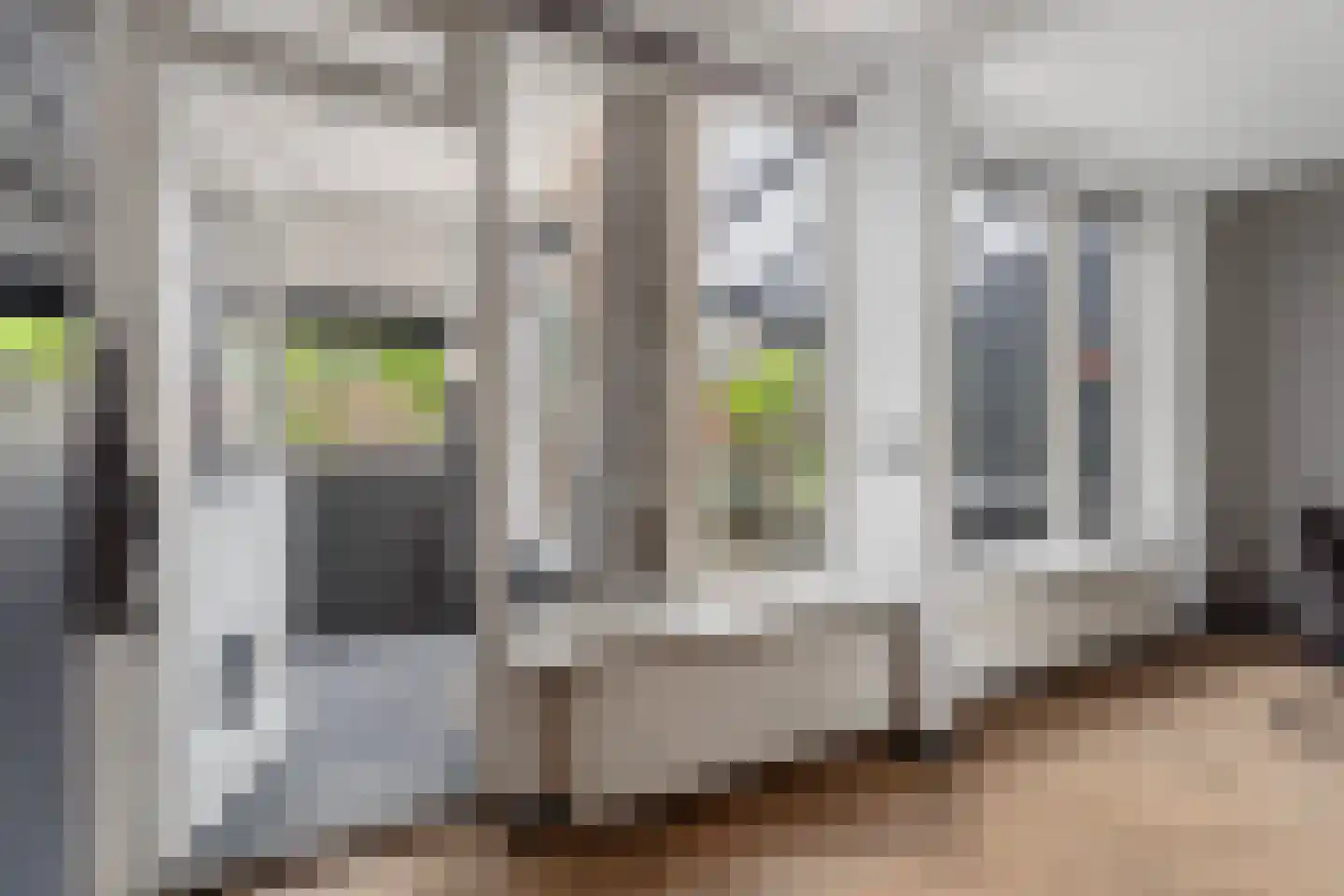 Populierenhoek 11 Zevenaar thumbnail 16