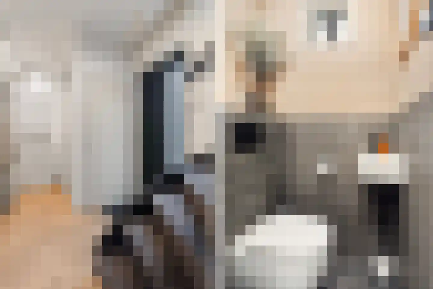 Populierenhoek 11 Zevenaar thumbnail 18