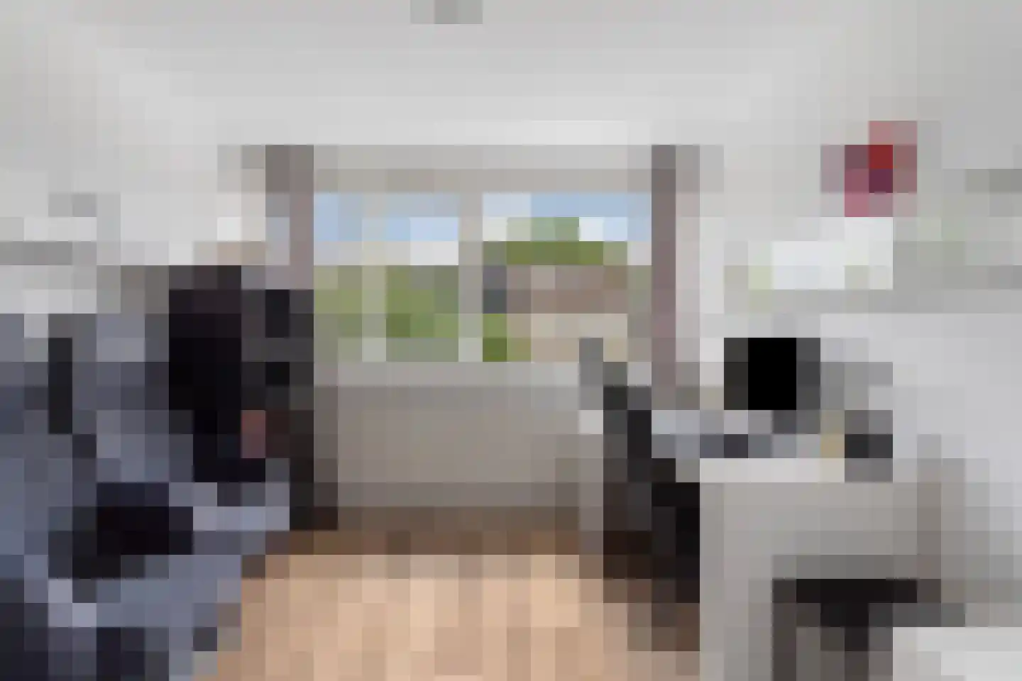 Populierenhoek 11 Zevenaar thumbnail 26