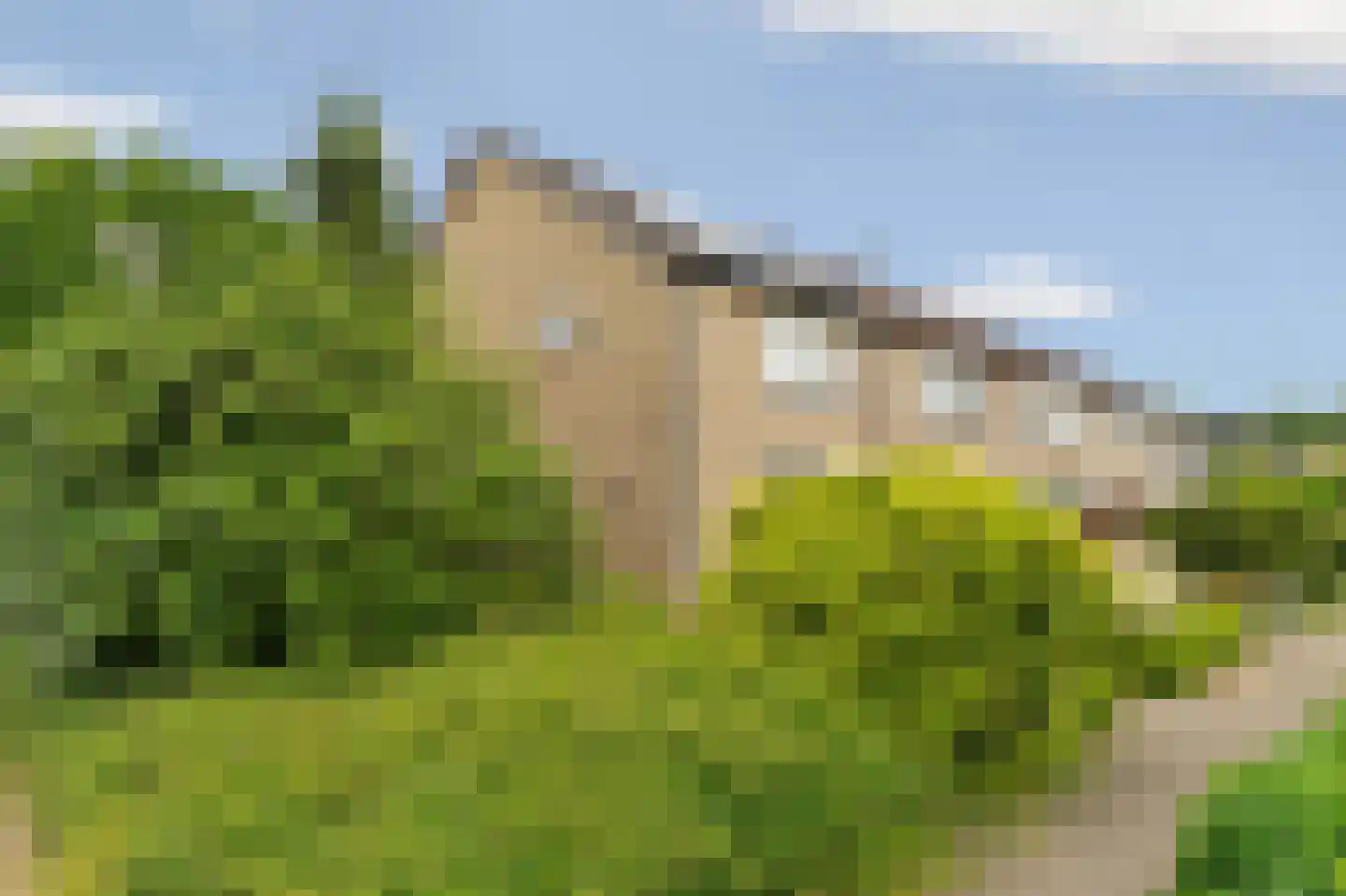 Populierenhoek 11 Zevenaar thumbnail 41
