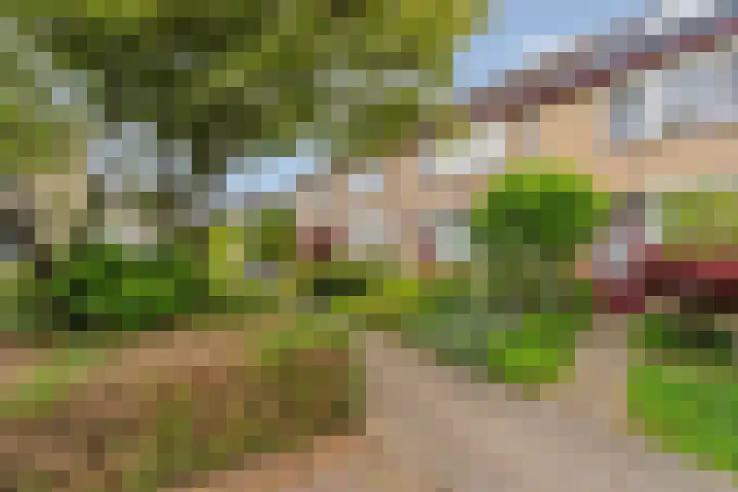 Populierenhoek 11 Zevenaar thumbnail 42
