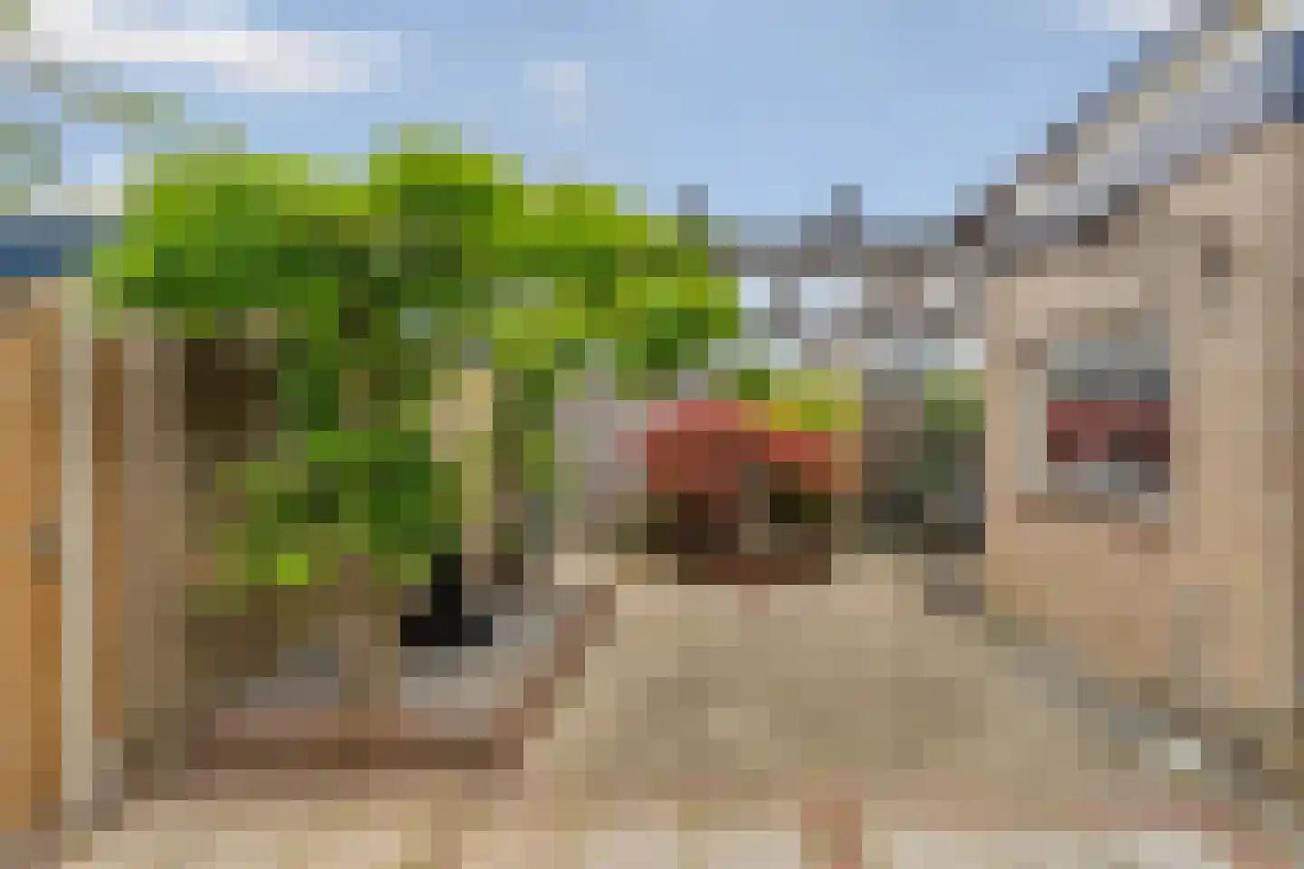 Populierenhoek 11 Zevenaar thumbnail 5