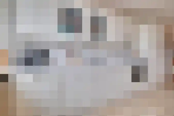 Populierenhoek 120 Zevenaar thumbnail 21