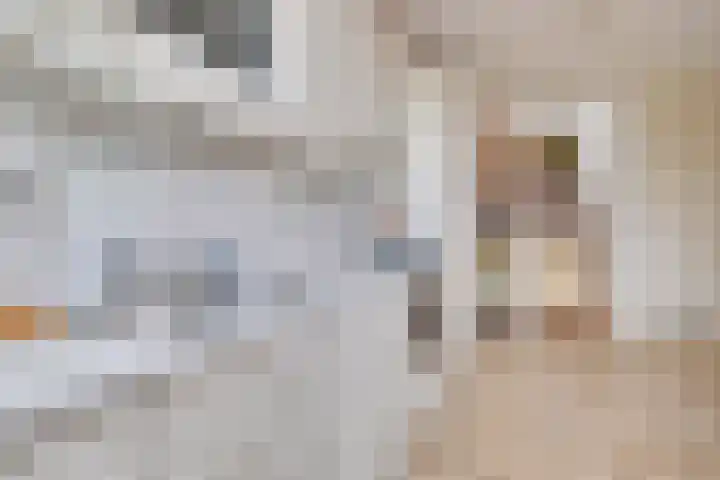 Populierenhoek 120 Zevenaar thumbnail 22