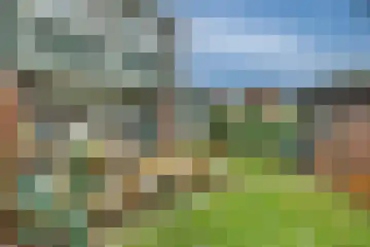 Populierenhoek 120 Zevenaar thumbnail 39