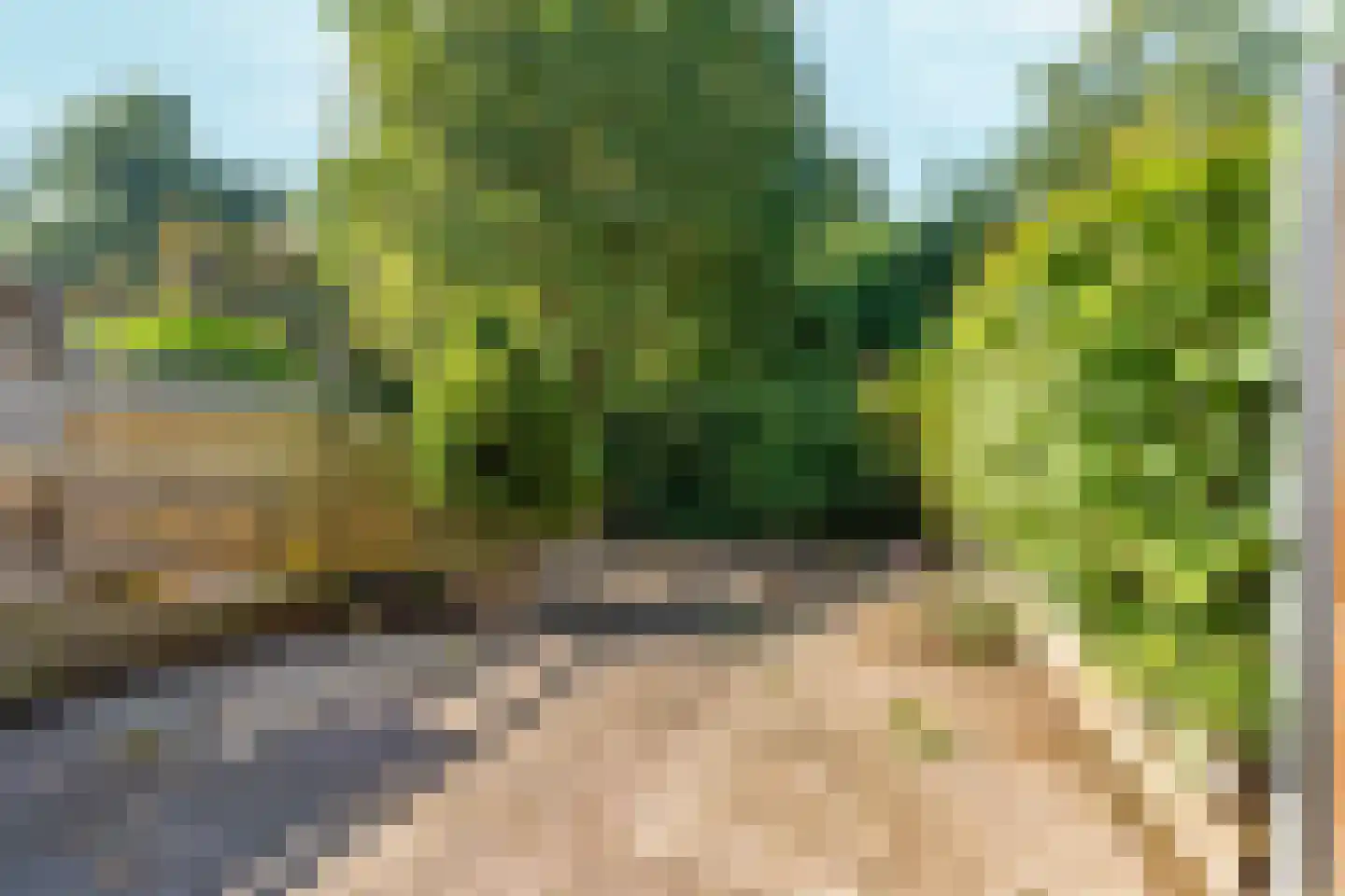 Populierenhoek 24 Zevenaar thumbnail 5