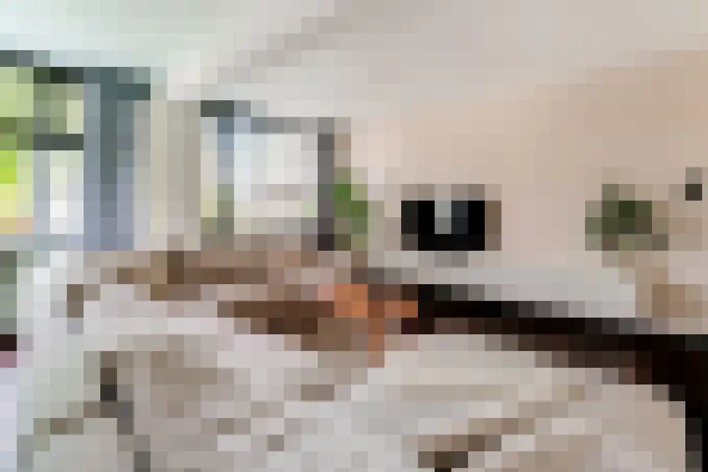 Populierenhoek 6 Zevenaar thumbnail 16
