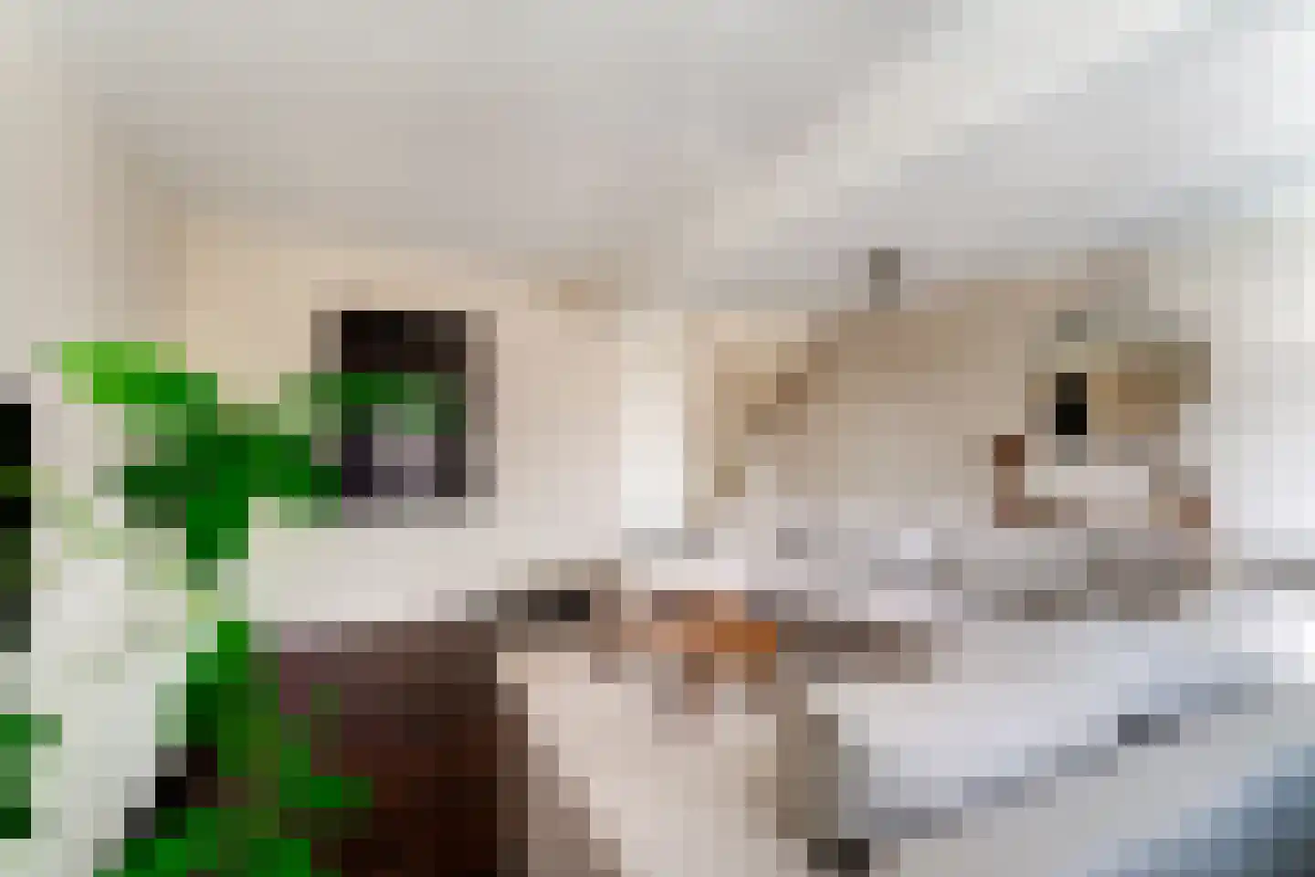 Populierenhoek 6 Zevenaar thumbnail 19