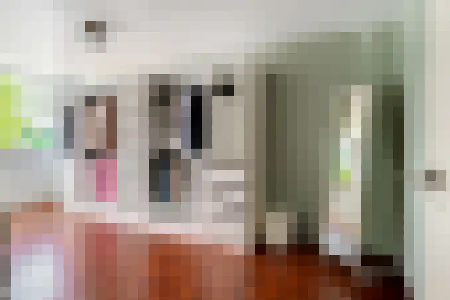 Populierenhoek 6 Zevenaar thumbnail 30