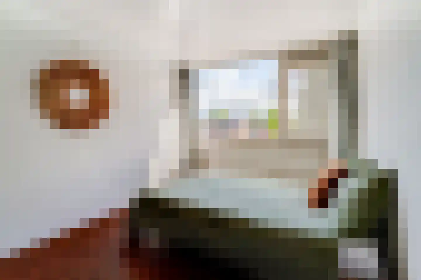 Populierenhoek 6 Zevenaar thumbnail 34