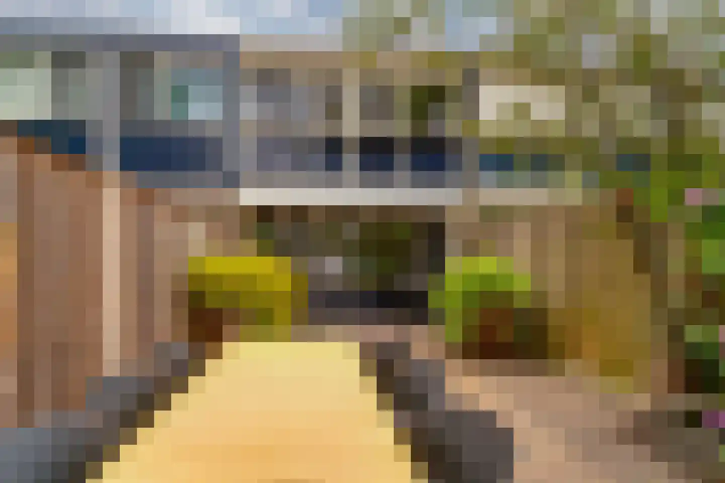 Populierenhoek 6 Zevenaar thumbnail 4