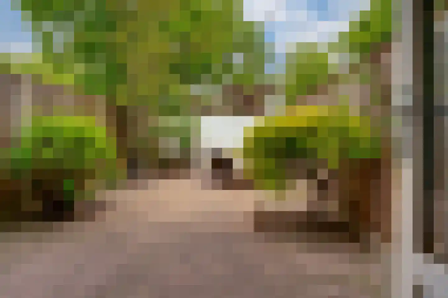 Populierenhoek 6 Zevenaar thumbnail 40