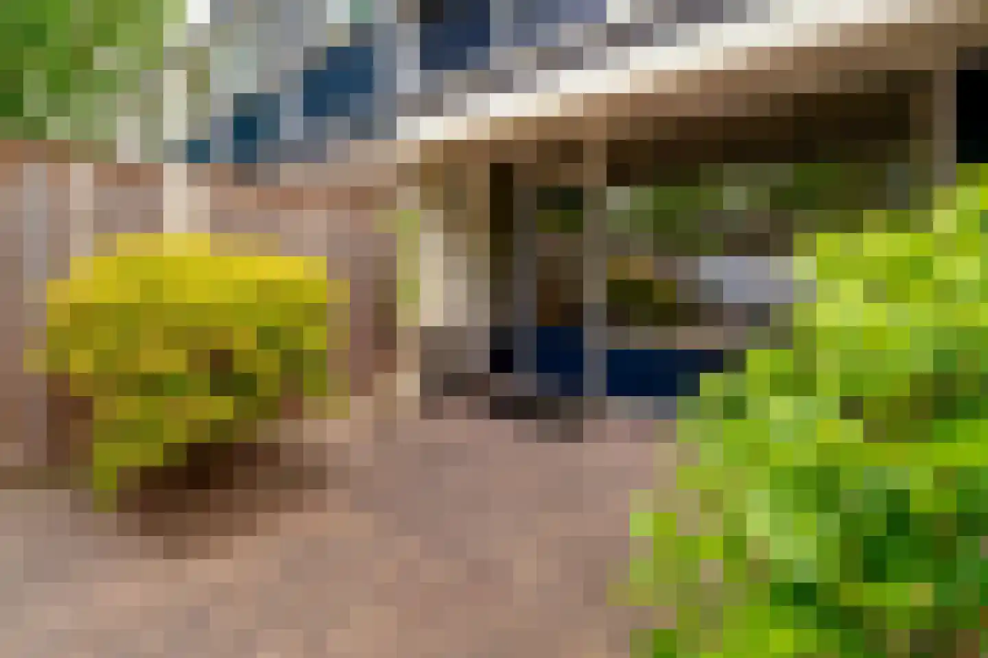 Populierenhoek 6 Zevenaar thumbnail 43