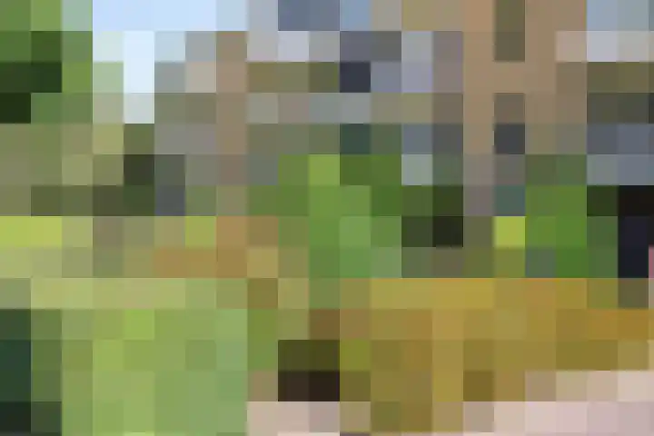 Populierenhof 105 Bodegraven thumbnail 23