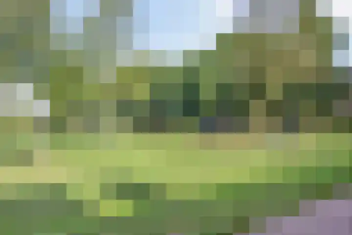 Populierenhof 105 Bodegraven thumbnail 24