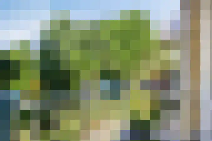 Populierenhof 105 Bodegraven thumbnail 7