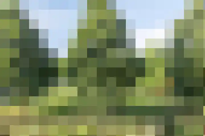 Populierenhof 105 Bodegraven thumbnail 8