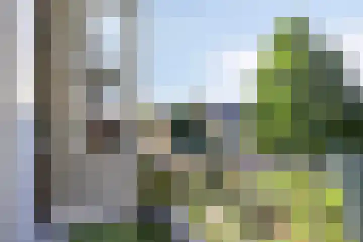 Populierenhof 105 Bodegraven thumbnail 9