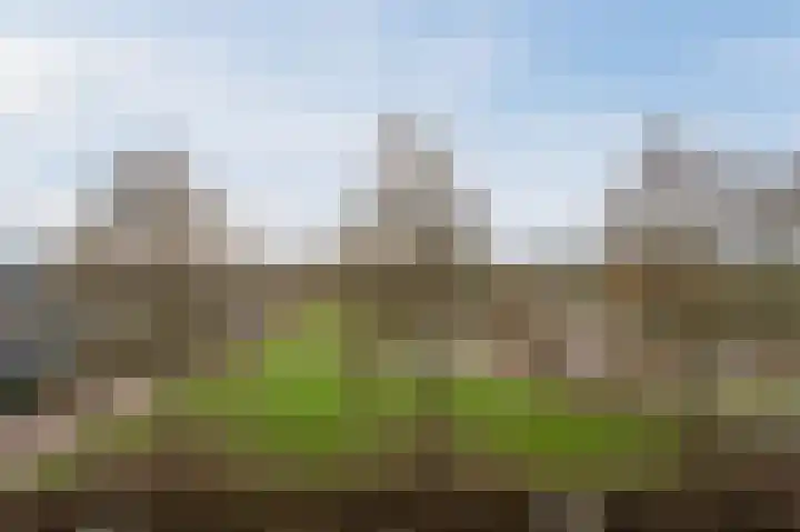 Populierenhof 107 Bodegraven thumbnail 31