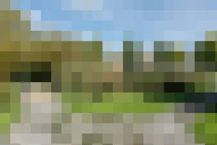 Populierenhof 107 Bodegraven thumbnail 34