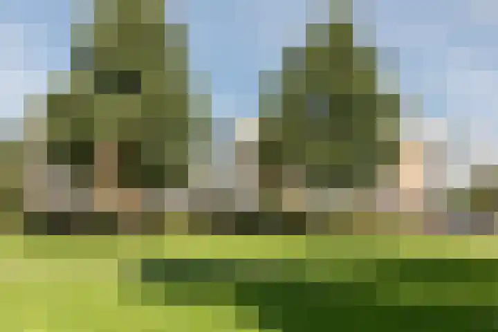 Populierenhof 107 Bodegraven thumbnail 37