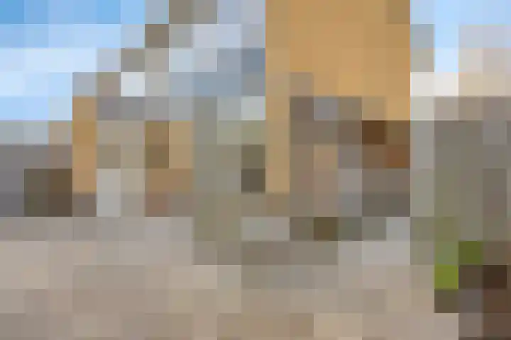 Populierenhof 14 Bodegraven thumbnail 24