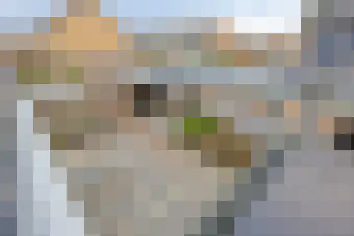 Populierenhof 14 Bodegraven thumbnail 32