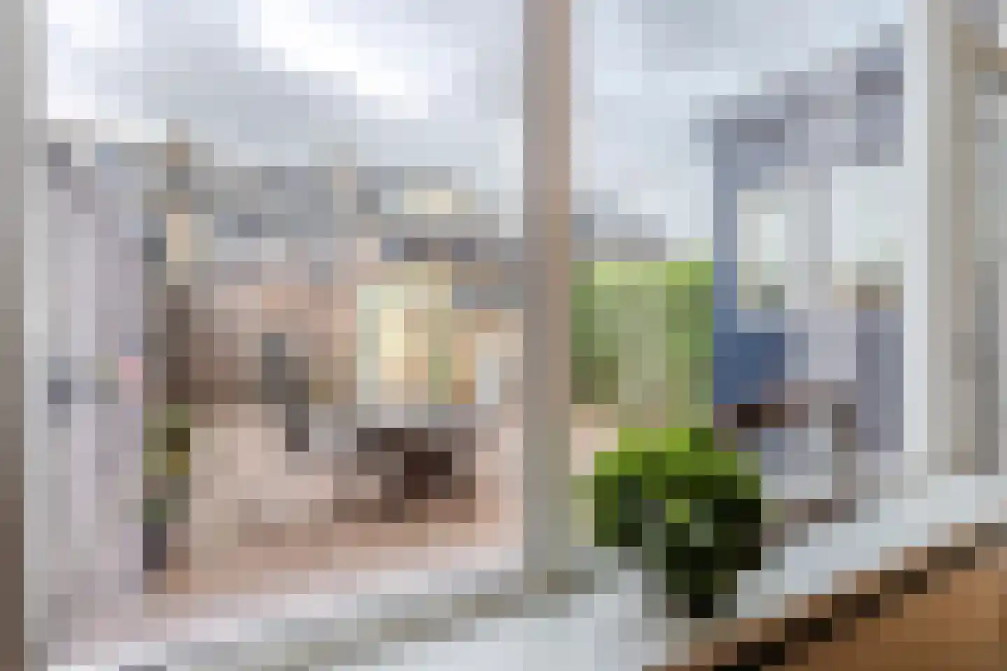 Populierenhof 18 Bodegraven thumbnail 17