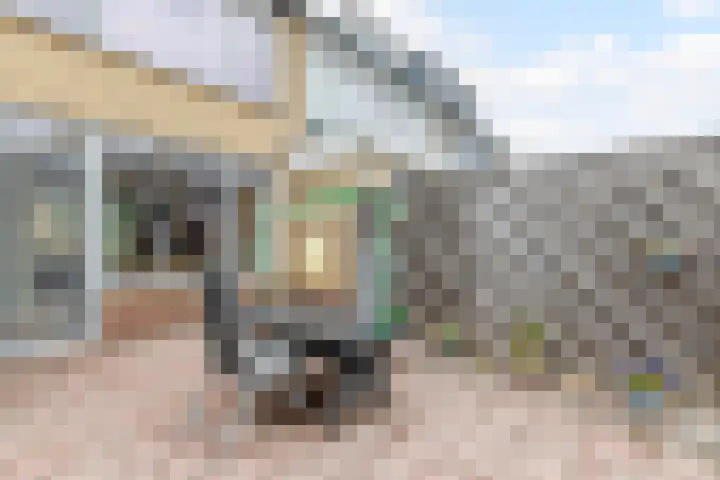 Populierenhof 18 Bodegraven thumbnail 34