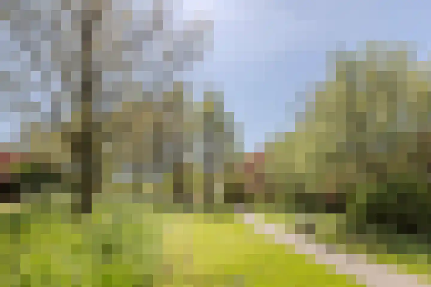 Populierenhof 18 Bodegraven thumbnail 42