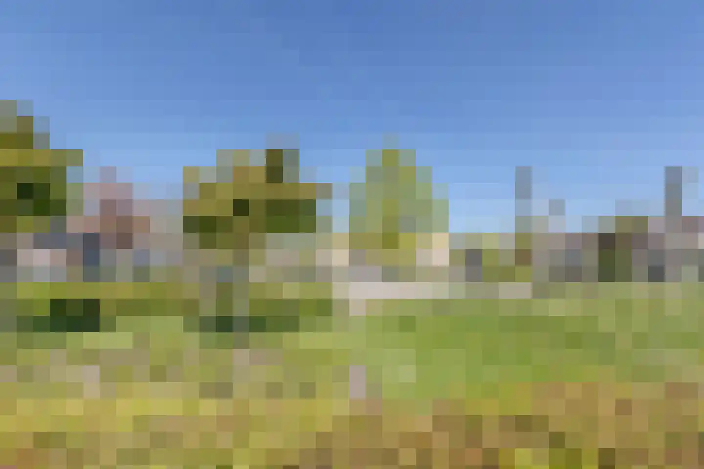 Populierenhof 18 Bodegraven thumbnail 43