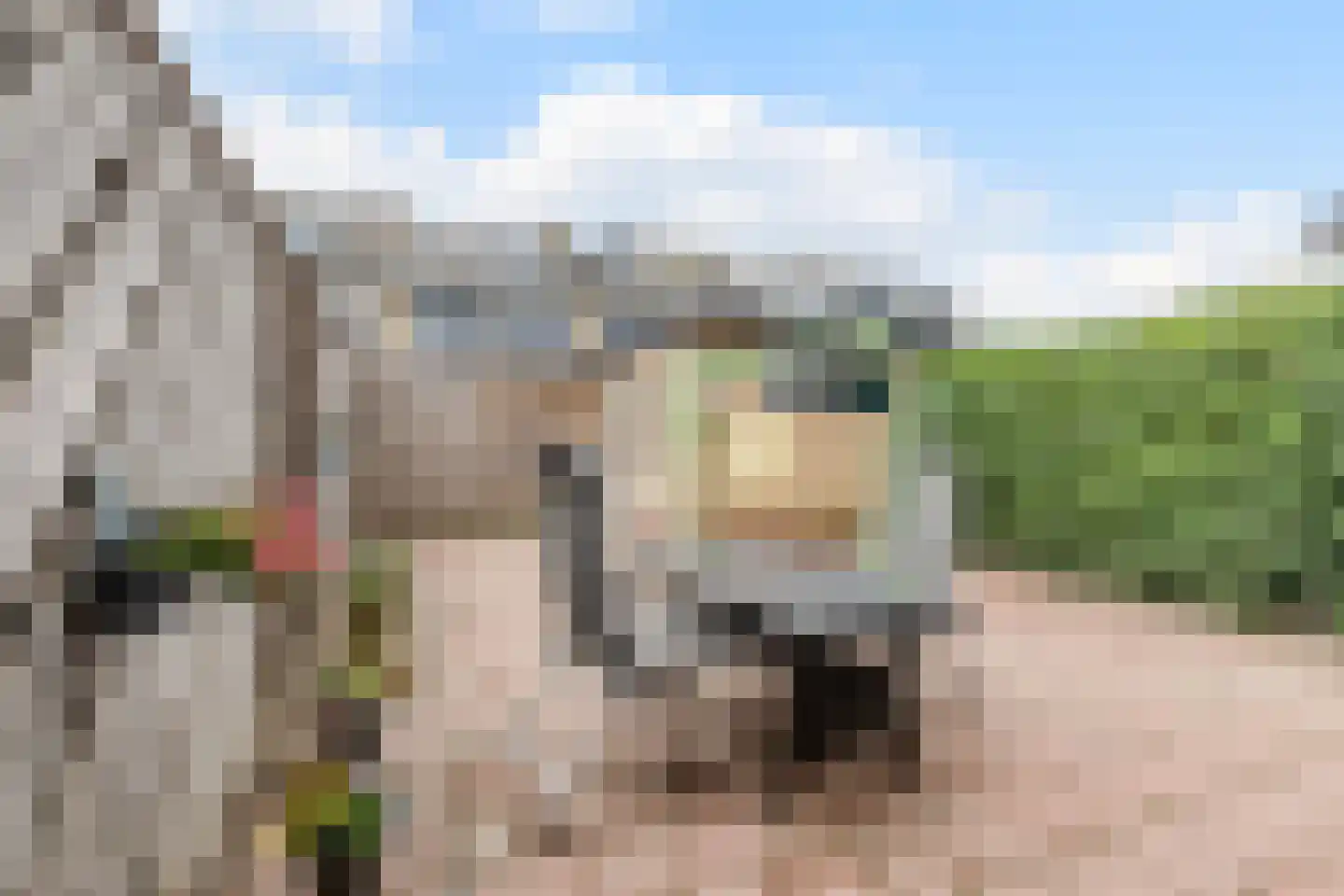 Populierenhof 18 Bodegraven thumbnail 6
