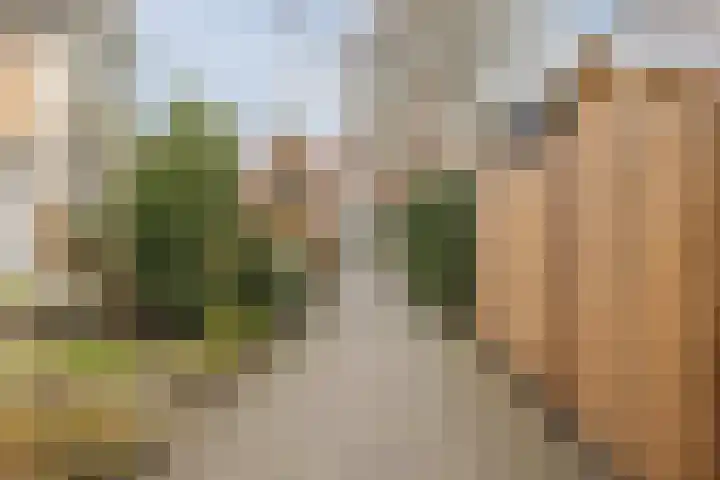 Populierenhof 20 Bodegraven thumbnail 52