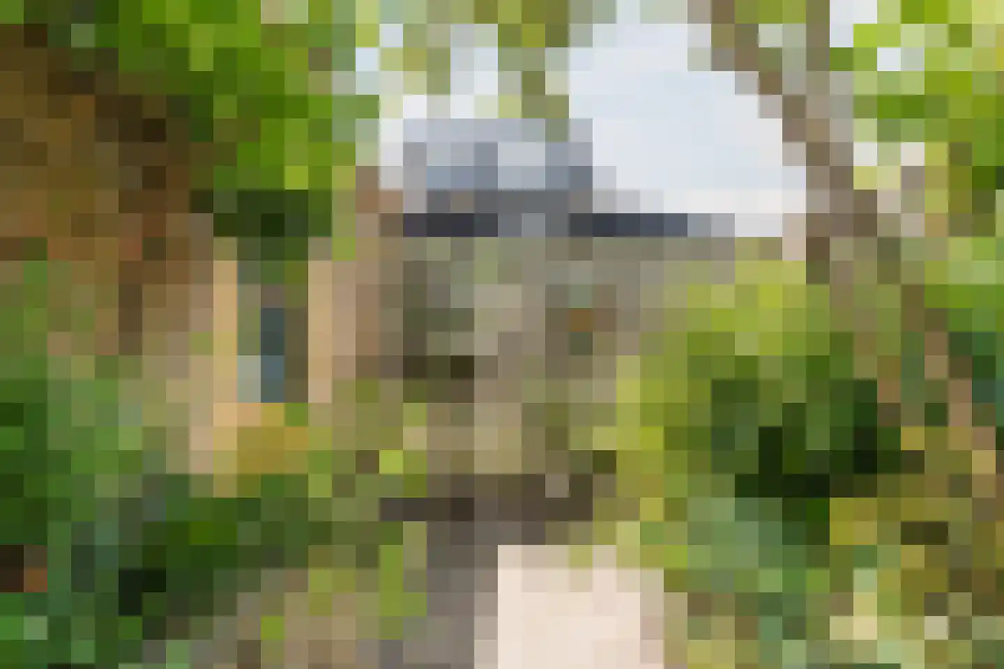 Populierenhof 41 Bodegraven thumbnail 34