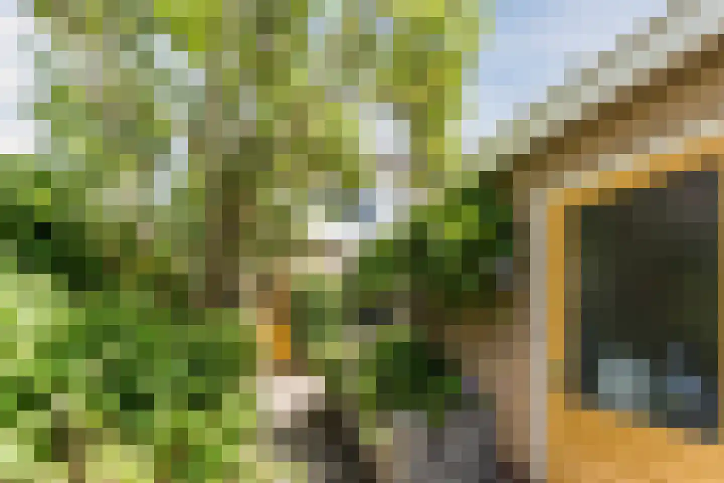 Populierenhof 41 Bodegraven thumbnail 35