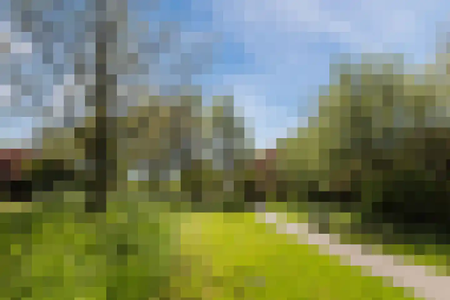 Populierenhof 41 Bodegraven thumbnail 38