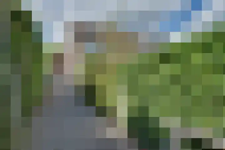 Populierenhof 47 Sliedrecht thumbnail 10