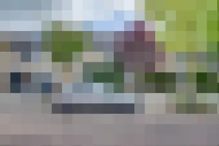 Populierenhof 47 Sliedrecht thumbnail 12