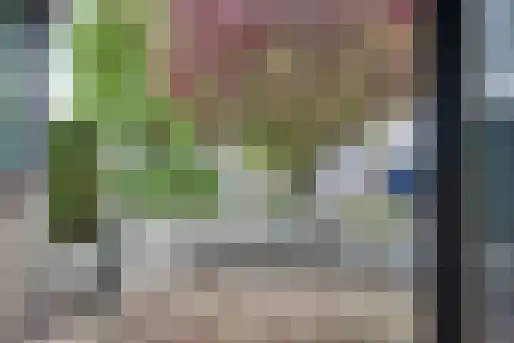 Populierenhof 47 Sliedrecht thumbnail 15