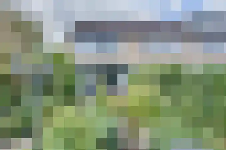 Populierenhof 47 Sliedrecht thumbnail 26