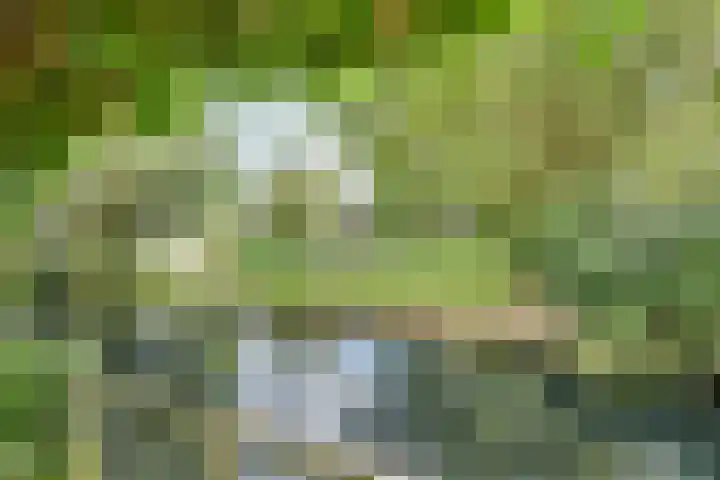 Populierenhof 47 Sliedrecht thumbnail 28