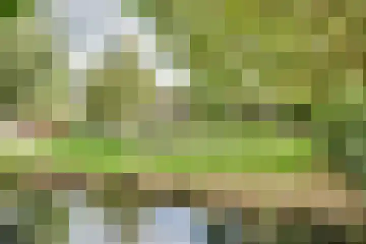 Populierenhof 47 Sliedrecht thumbnail 29