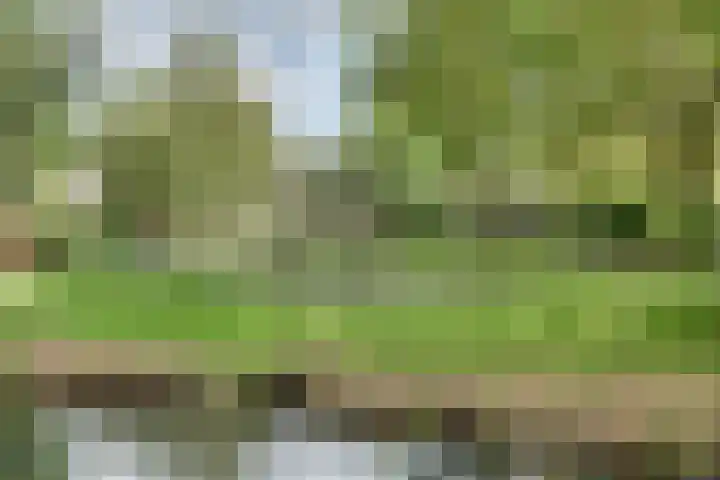 Populierenhof 47 Sliedrecht thumbnail 30