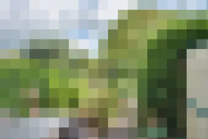 Populierenhof 47 Sliedrecht thumbnail 31
