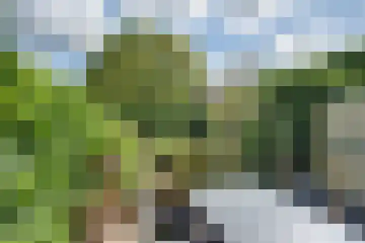 Populierenhof 47 Sliedrecht thumbnail 32
