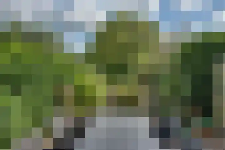 Populierenhof 47 Sliedrecht thumbnail 33